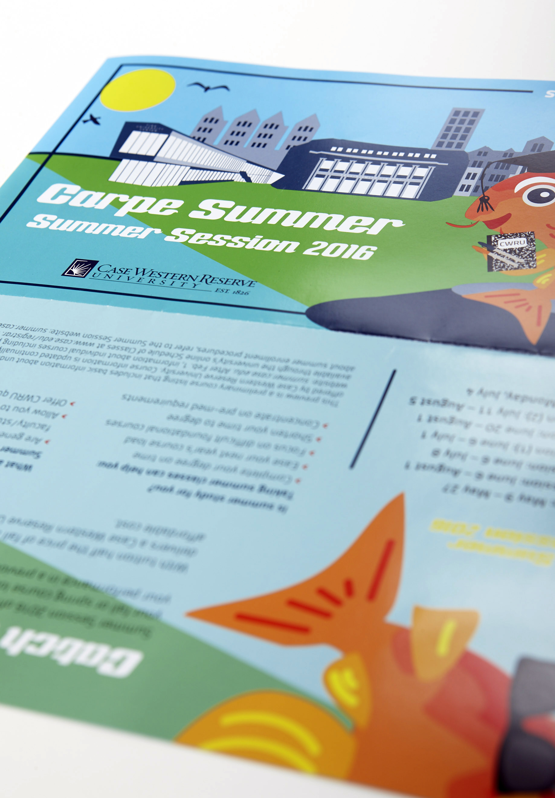CAS Summer Sessions 2017 | Design LBS