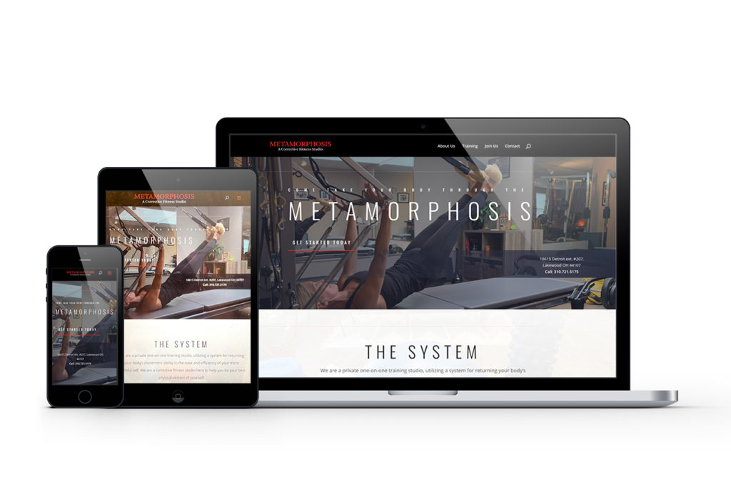 Metamorphosis Trainer Website