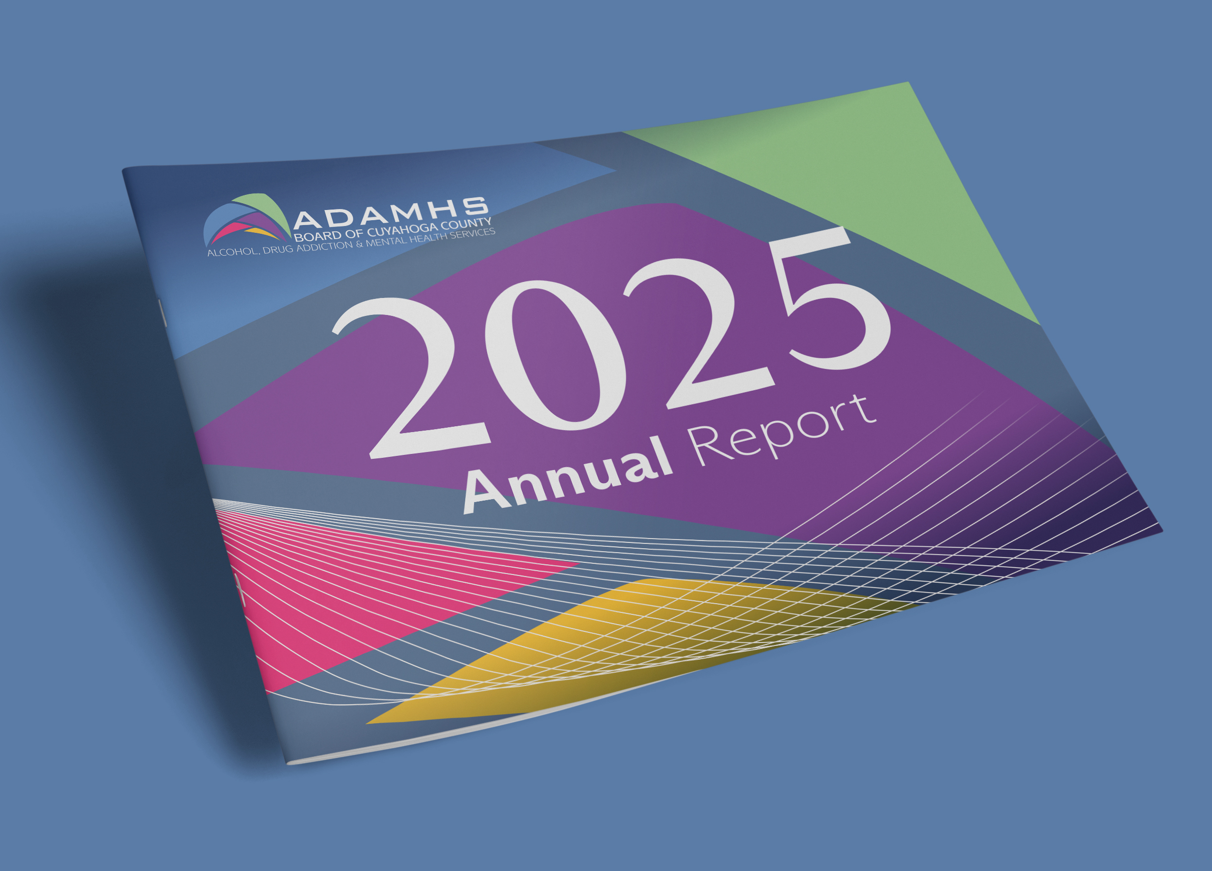 DesignLBS_ADAMHS2025_ARCover